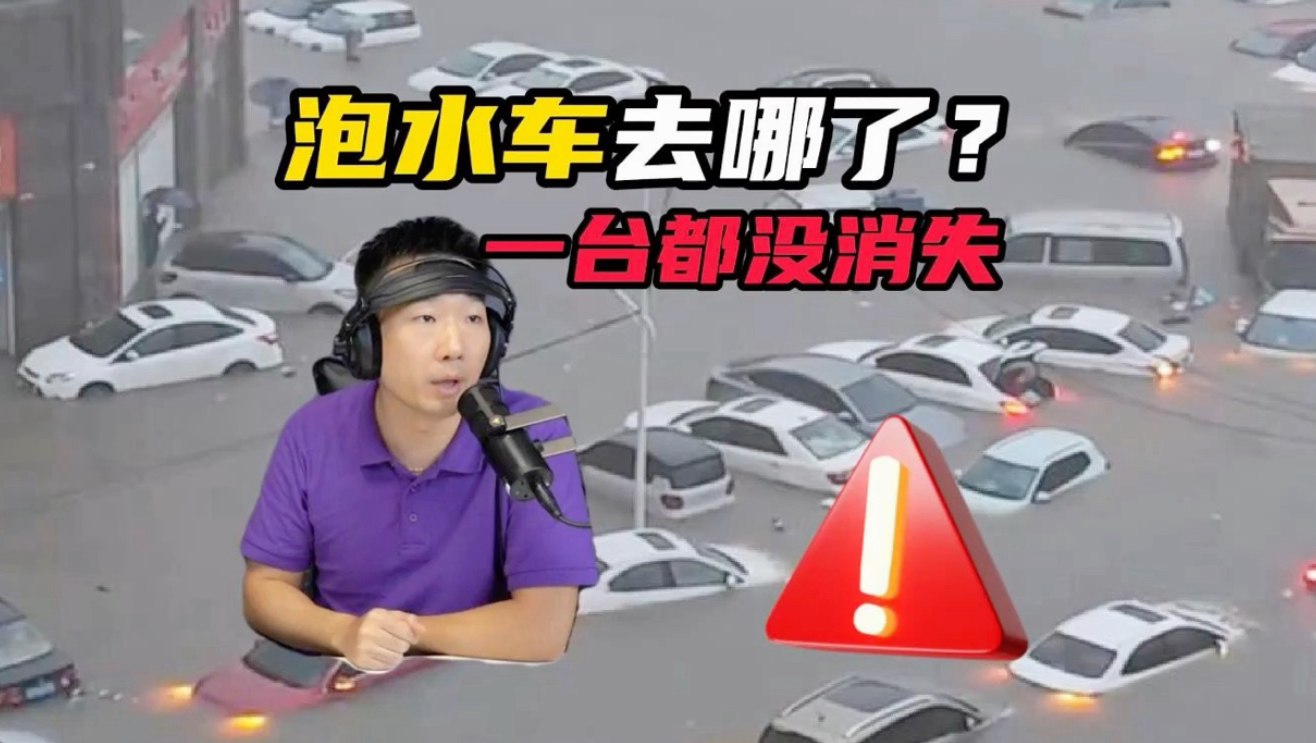 年年暴雨年年淹，二手车市场却找不到一辆泡水车？真相震惊#初仔讲车魅力四射