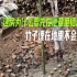 竹子埋在地里多久会腐烂？