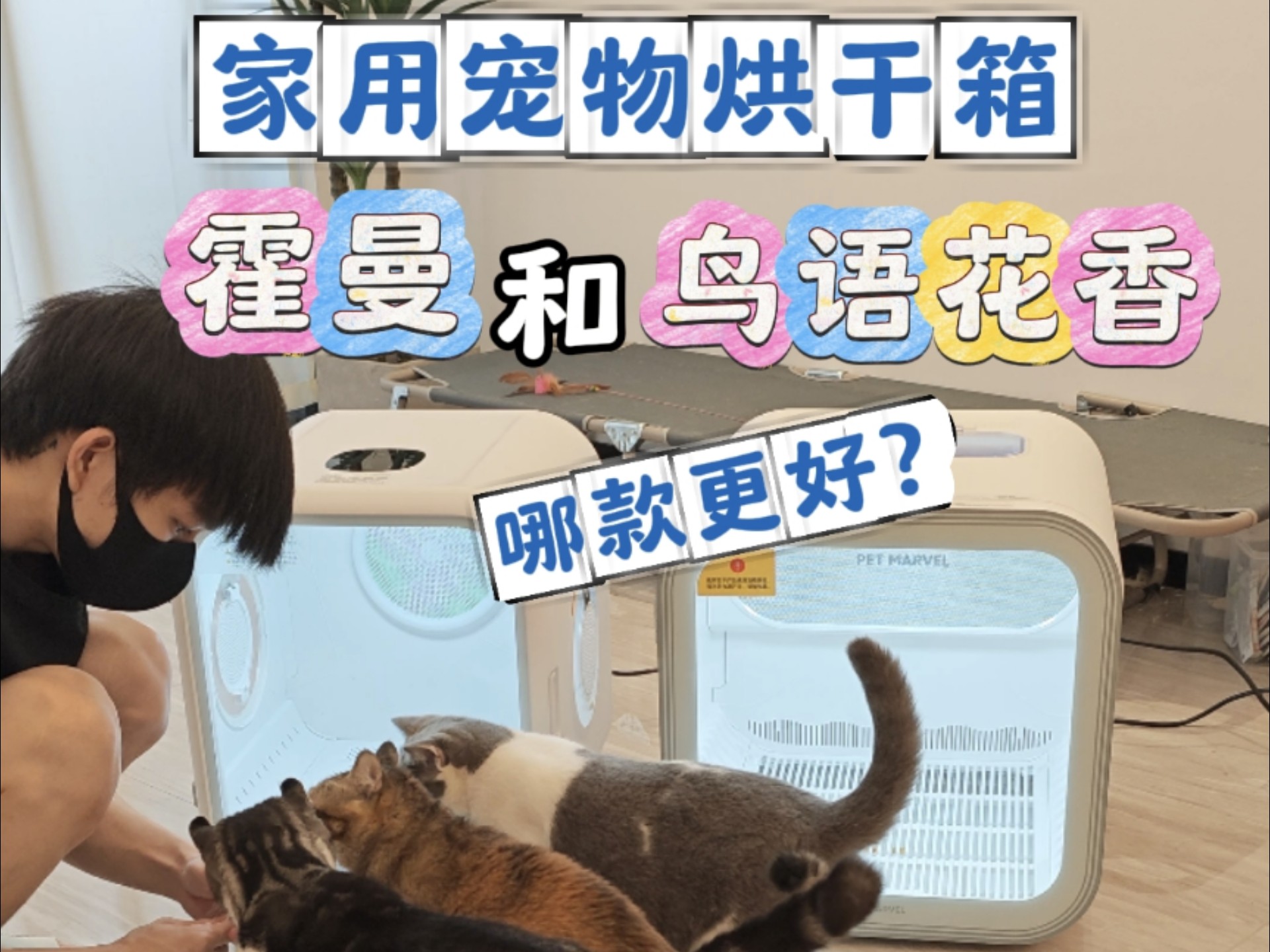 宠物烘干箱评测 霍曼和鸟语花香 看看哪款更适合在家洗猫