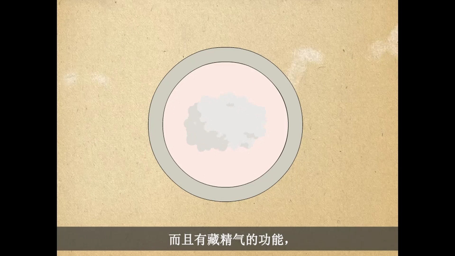 动画中医：课时4-1-2：藏象