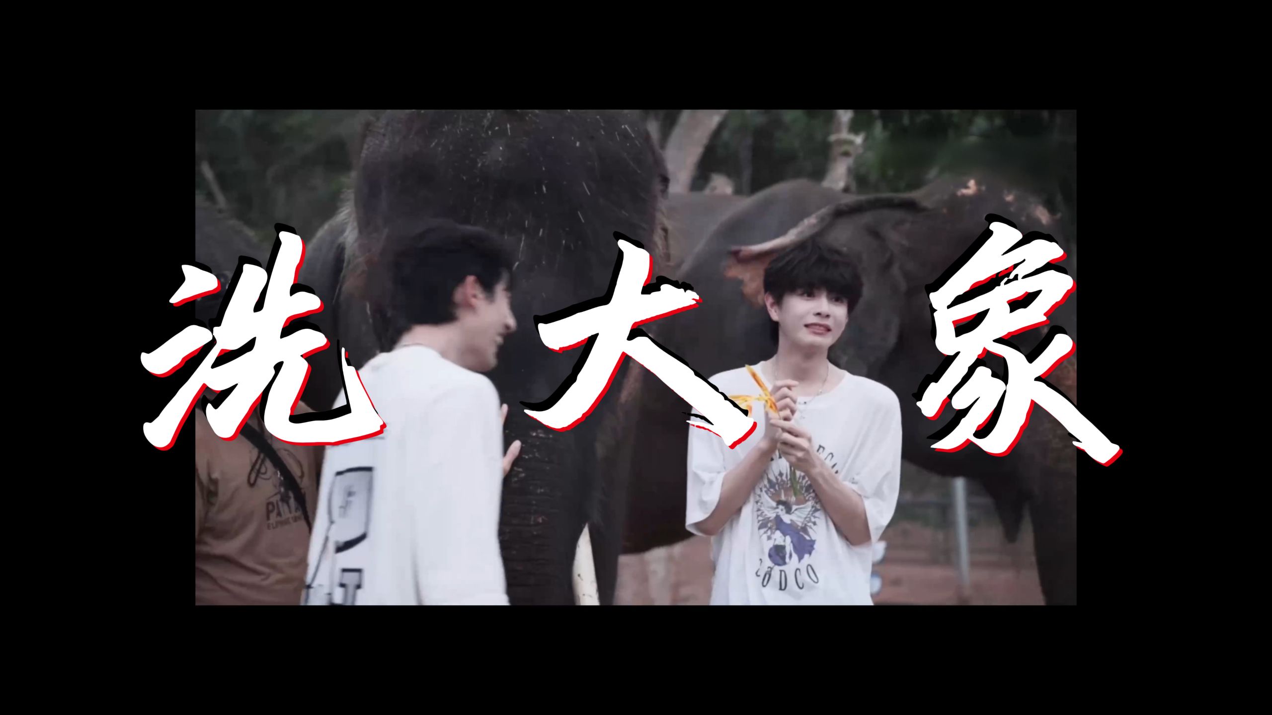 【政瞳-洗大象vlog reaction】到底在洗大象还是搞对象