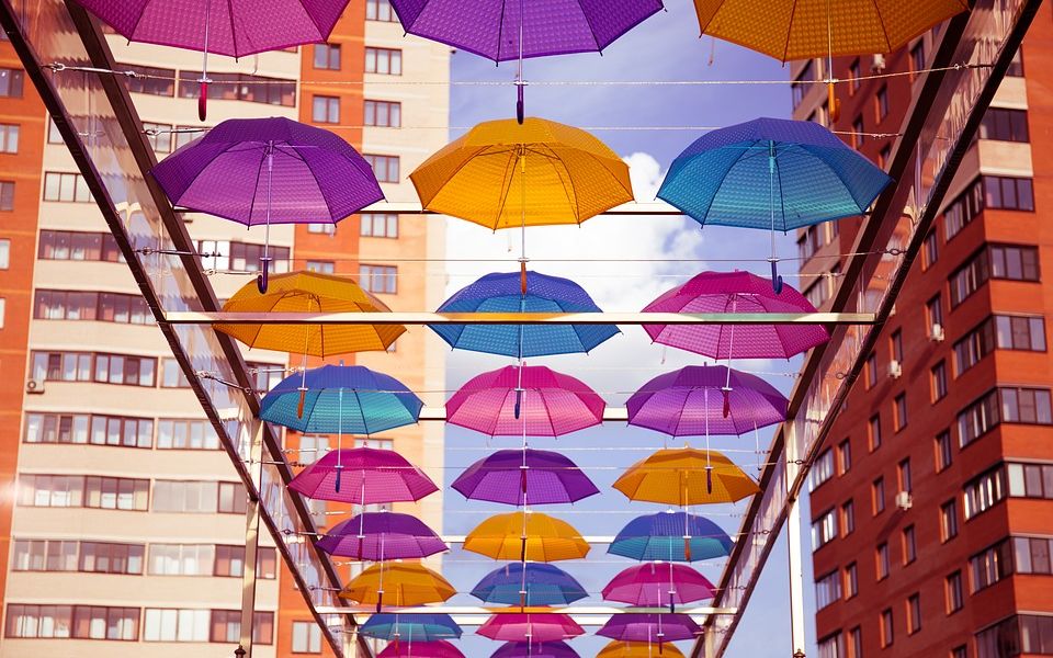 【科学嬉游记】地球——有哪些潮湿的天气