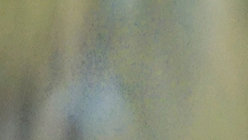 1d9c3d2383ea6594b2c9b6e8d5d9bde6c05e8376.jpg@280w_158h_1c_100q.jpg