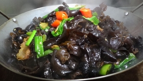 1da7f05dac9a786ff65a1ae9cb4da8245cdaba17.jpg@280w_158h_1c_100q.jpg