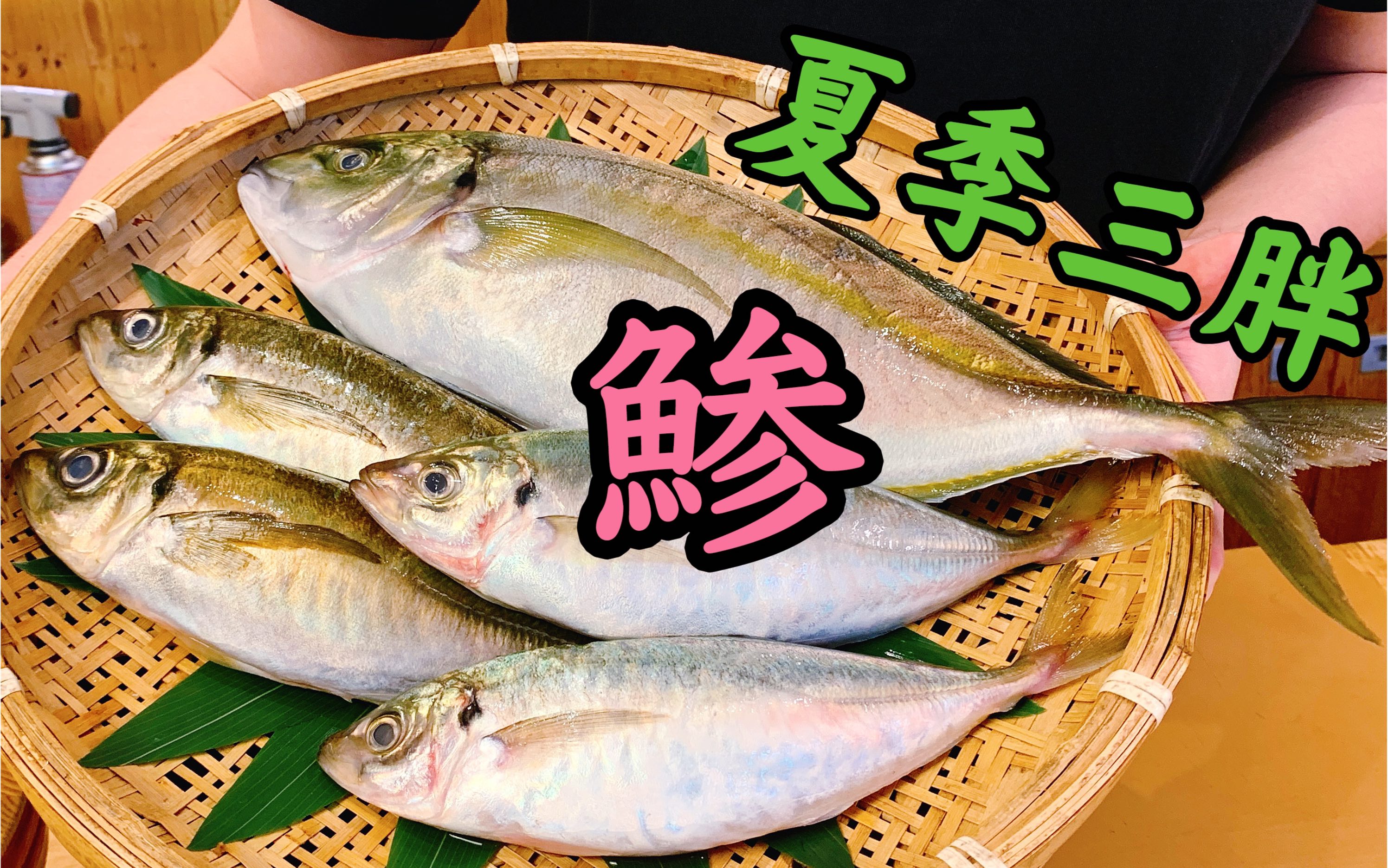 【夏季日料食材】详解鲹科三小将：大、小竹荚鱼、巴浪鱼都是啥？竹荚三胖好吃吗？