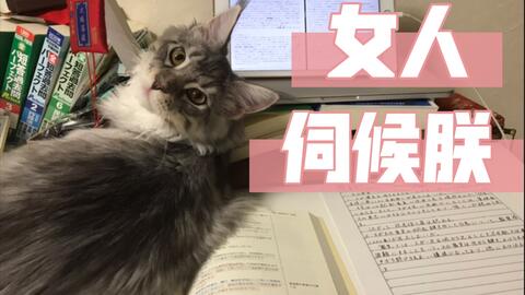 怎么抓小猫猫 1dd5edbb7aa7fb79d37a8da947b412a3ceae199c.jpg@480w_270h_1c
