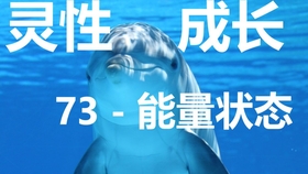 1ddab8d46f0aeab37c4dc508f857aff7527e7714.jpg@280w_158h_1c_100q.jpg