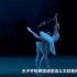 芭蕾舞剧《天鹅湖》曲2-王子和白天鹅