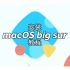 小米 Ruby 15.6集显版 Big Sur11.1 ——OC版本0.6.2黑苹果安装教程