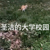 我在学校偷拍到学长上厕所了