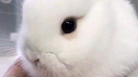 1e1bb08bfcfee65f351225011e06429882bdd38b.jpg@480w_270h_1c