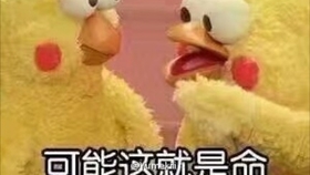1e1e2c1b52f626ed317a77859fac57d966647b18.jpg@280w_158h_1c_100q.jpg