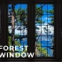 4K 森林窗景 - 放松、平静、氛围，适合学习、专注、冥想与睡眠