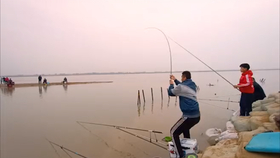 野钓怎么找到野钓鱼饵 1e3407336d3bda65934d5b92d0a719a573f92867.png@280w_158h_1c_100q.jpg