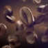 AE模板-咖啡豆特写咖啡品牌公司企业品牌商品店铺标志动态LOGO片头模板logo设计