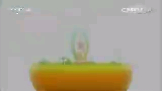 【KBS君】更新了一条视频，快来围观！