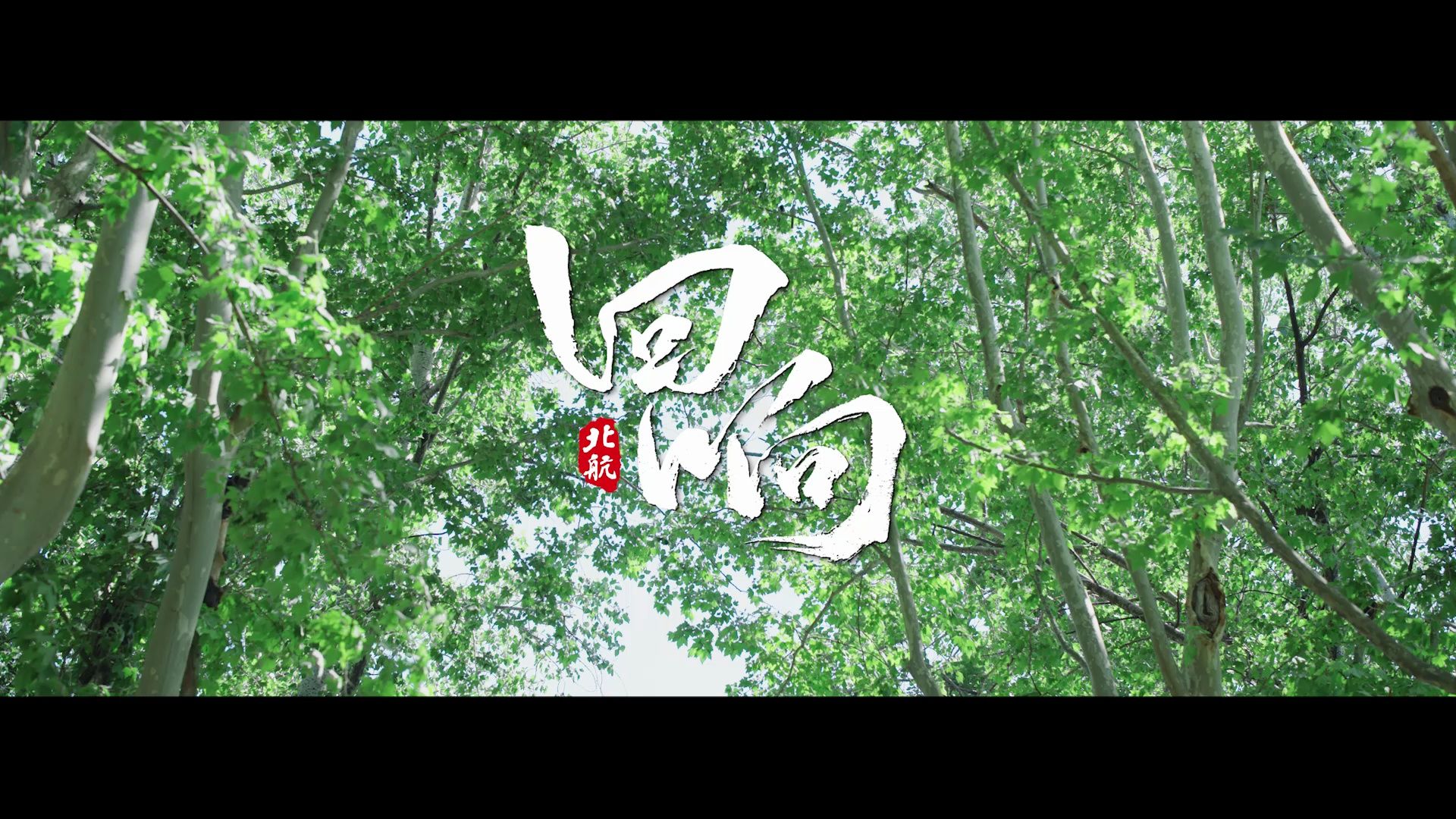 《回响》！北航2024年招生宣传片重磅发布！