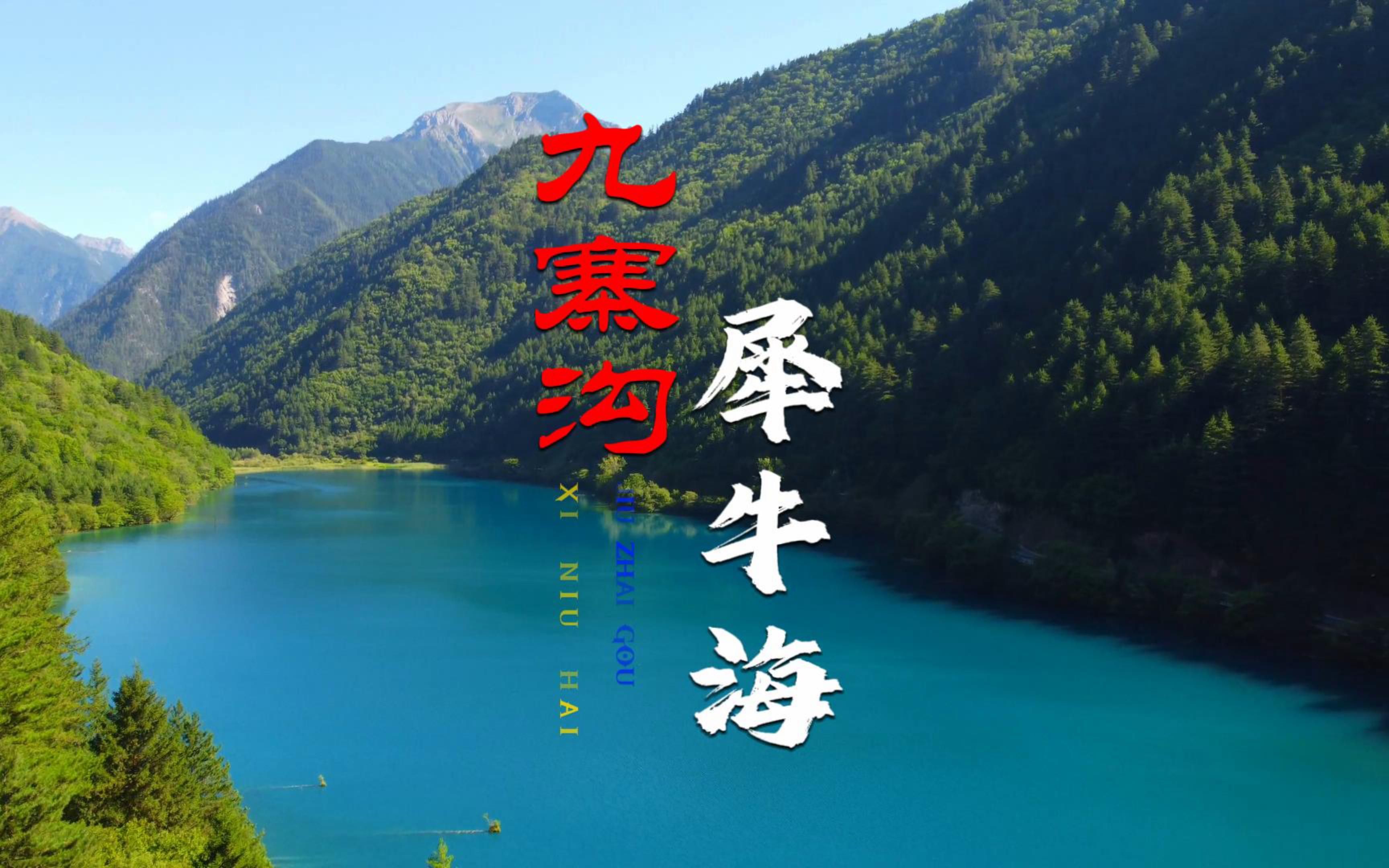超清航拍 九寨沟犀牛海 水光潋滟碧波荡漾 鸟雀鸣唱风景奇丽