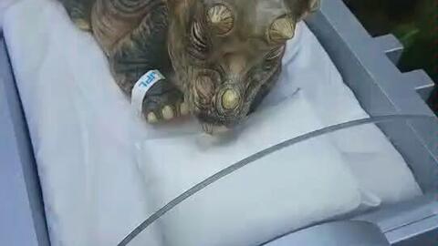 1e6f3d09a2a12d29d5a3be03e47fbd1772174e37.jpg@480w_270h_1c