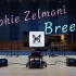 用百万级豪华装备试听《Breeze》Sophie Zelmani苏菲·珊曼妮【Hi-Res】