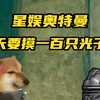 一天摸一百只光子鸡这你受得了嘛