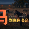 马，这种动物到底有多奇怪？｜生物｜播客｜原来是这样