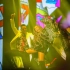 【几乎全场/35P】张惠妹乌托邦2.0世界巡回演唱会北京站·2017.5.20/5.21