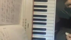 琵琶语钢琴曲谱_琵琶语古筝曲谱(4)