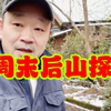 🌈两个男人带着两个小男孩后山探险