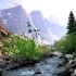 【自然&放松】流水与鸟声（第二季）Relaxing River Sounds - Gentle River, Natur