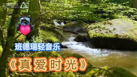 轻音乐纯音乐催眠曲谱_催眠麦克风图片(2)
