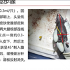 小鼠心脏灌流详细步骤，不会的小伙伴快来看看叭