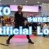 【成都IFS路演限定团】artificial love-EXO(kpop in public  成都IFS路演舞台ran
