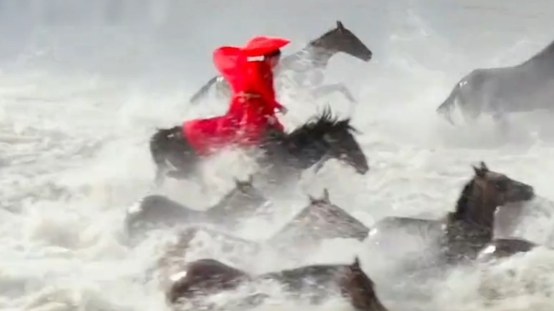 风过昭苏，仍念那抹红衣策马的身影，致敬把一生献给新疆助农的实干者贺娇龙同志