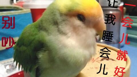 1f087263c419c0933a92ef805487164b2b91d1aa.jpg@480w_270h_1c