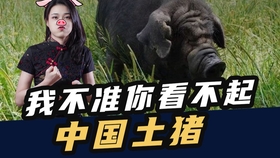 1f16c5d9bf04a152a862f4a0cdeafdeb59d58550.jpg@280w_158h_1c_100q.jpg