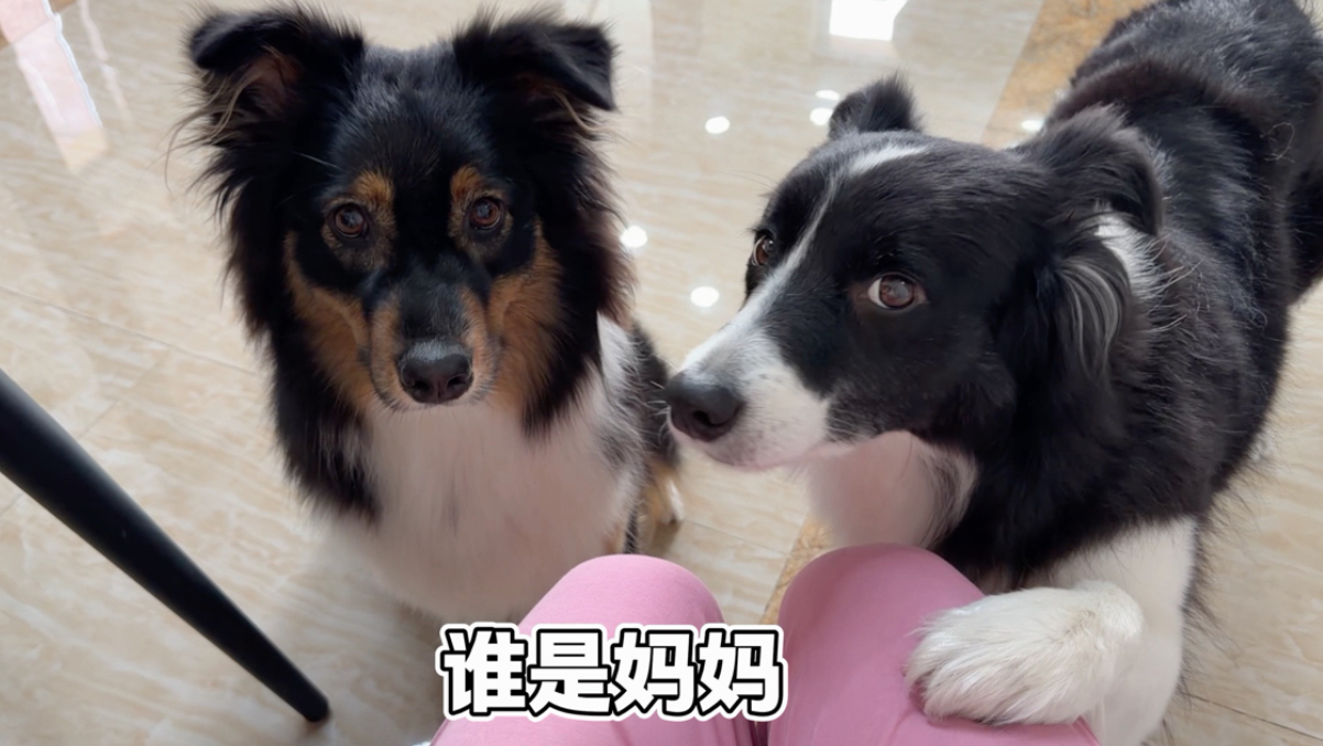 每日一问