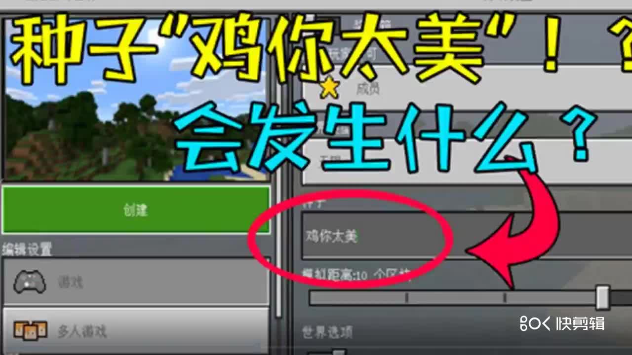 在我的世界输入种子"鸡你太美"会发生什么!