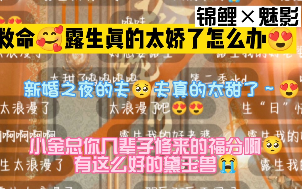 [玲珑月●新婚夜]黛玉兽真的太娇了！！！这谁能把持住！！！锦鲤真的太会配了呜呜呜