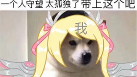 1f2dc4fd64bc3aa8d79794d3131ecf9509bf772a.jpg@280w_158h_1c_100q.jpg