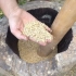 【原始技能】-制造舂米的和手工舂出大米来