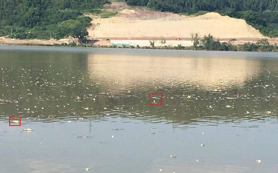 漂浮物监测系统 · 智慧水务