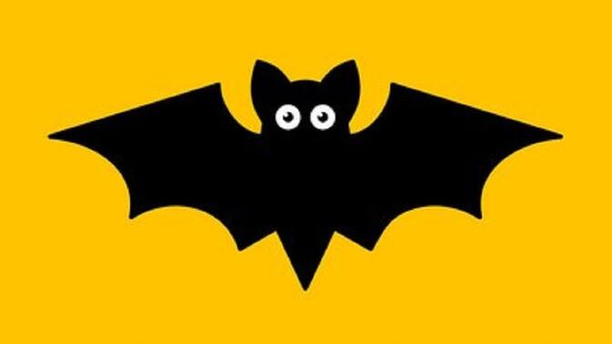 bat 哔哩哔哩 bilibili