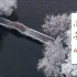 【知竹】临安·雪  早起的鸟儿达成西湖雪景成就