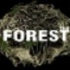 The ForestP1