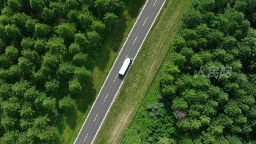 这条视频可以洗眼睛！航拍塞罕坝超治愈林海，点赞世界瞩目的绿色奇迹🌲#行进看中国