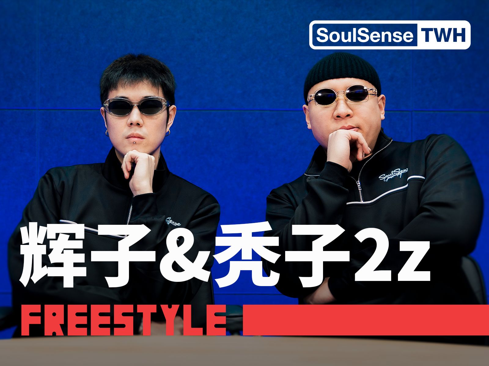 【辉子&秃子2z】“你们对于这些舶来品 真有点过于着迷了” |  SoulSense TWH电台