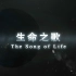 （1080P+）《生命之歌》【全3集】
