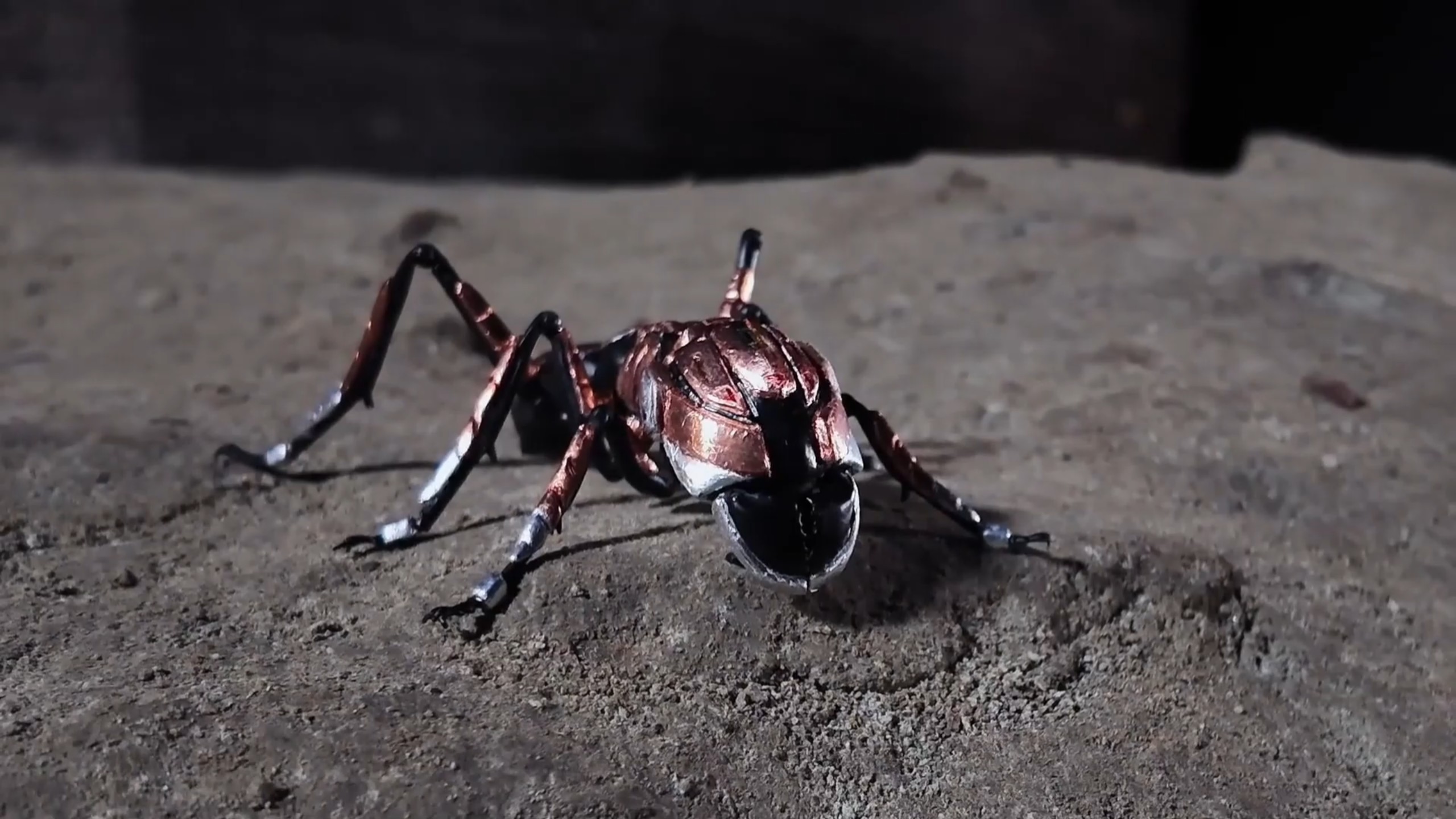 卡邦蚂蚁与宇宙卡邦里昂金钻，但是无人声