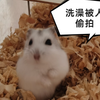 【瓜子日记】偷拍洗澡